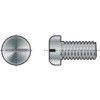 M5x20 SLOTTED PAN HEAD SCREW A2 thumbnail-1