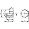 M12 Steel Hex Dome Nut High, Bright Zinc Plated, Grade 6 thumbnail-0