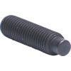 M10x12 SKT SET SCREW - DOG POINT (GR-45H) (14.9)  thumbnail-3