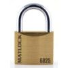 Keyed Padlock, Keyed Different, Brass, Bronze, 25mm Width, Weatherproof thumbnail-0