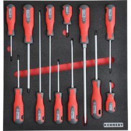 12 Piece Pro-Torq Screwdriver Sets in Tool Control 2/3 Width Foam Inlay.
 thumbnail-0