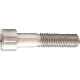 Socket Head Cap Screws, Metric, M5 thumbnail-3